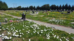 Western Cape, VREDENBURG, Central cemetery