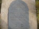 DAVIS Hyman Lewis 1885-1885