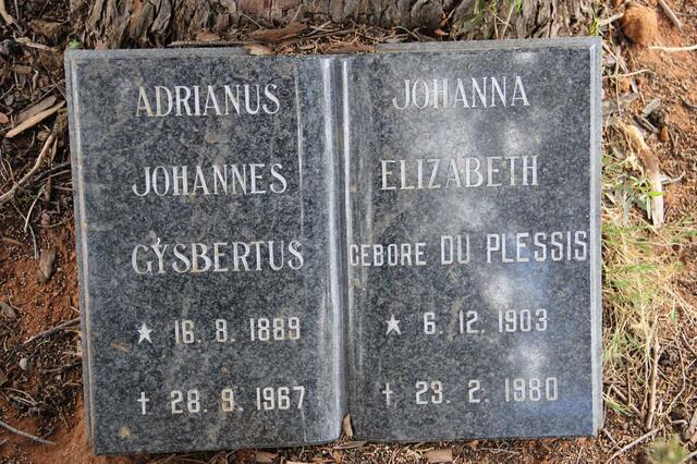 ? Adrianus Johannes Gysbertus 1889-1967 & Johanna Elizabeth DU PLESSIS 1903-1980