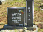 WATTS James 1945-2005