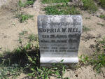 NEL Sophia W. 1925-1928