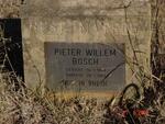 BOSCH Pieter Willem 1849-1909