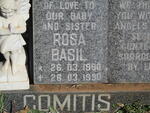 COMITIS Rosa Basil 1990-1990