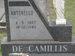 CAMILLIS Antonello, de 1967-1985