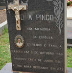 PINGO D.A. 1950-1981