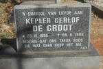 GROOT Kepler Gerlof, de 1995-1995