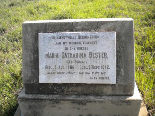 BESTER Maria Catharina nee SCHAAP 1886-1942