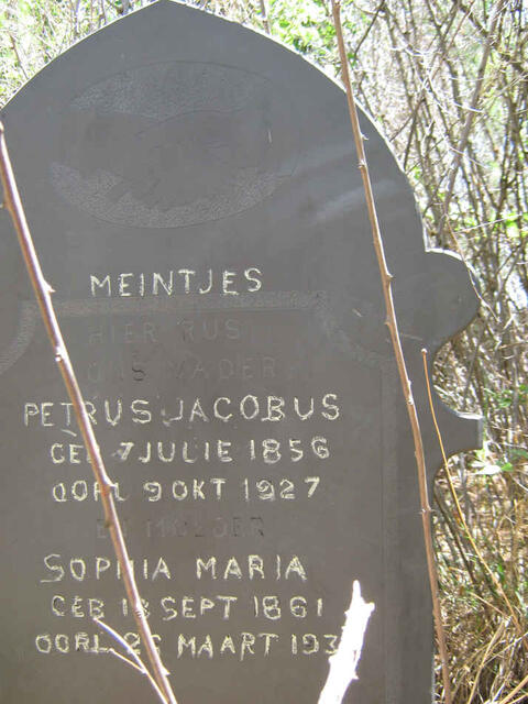 MEINTJES Petrus Jacobus 1856-1927 & Sophia Maria 1861-193?