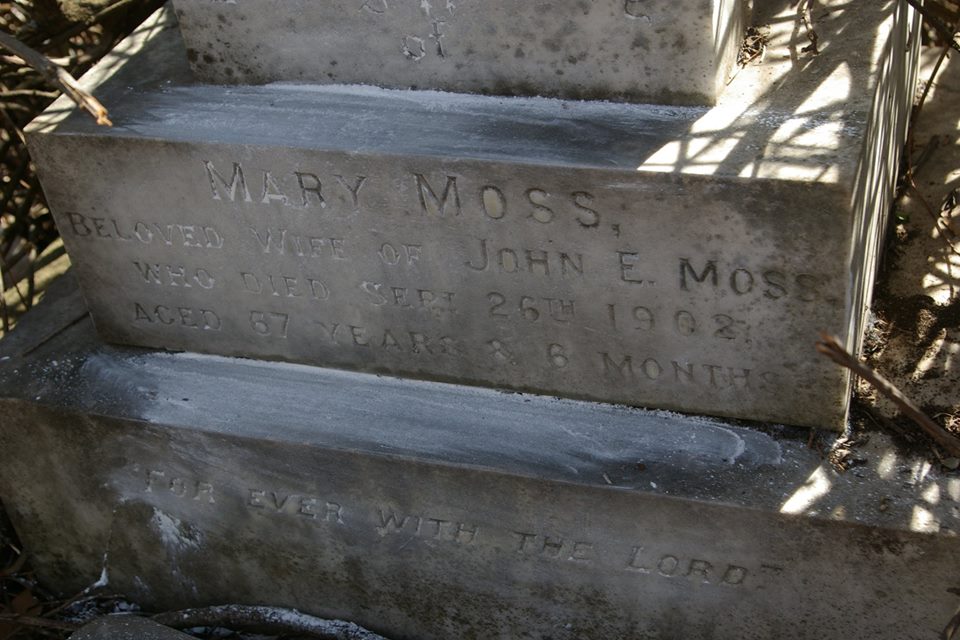 MOSS Mary -1902