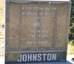 JOHNSTON Joey 1954-1995
