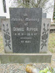 RIPPON Dennis 1931-1967