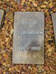 GELDERBLOEM David 1899-1965
