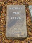 LLOYD Anthony Tom