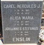 ENSLIN Carel Hercules J. 1923-1972 & Alida Maria 1926-1987 :: ENSLIN Johannes Stefanus 1946-1947