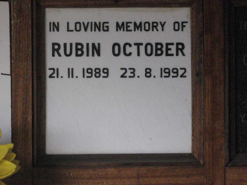 OCTOBER Rubin 1989-1992
