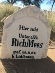 MEES Rich -1904