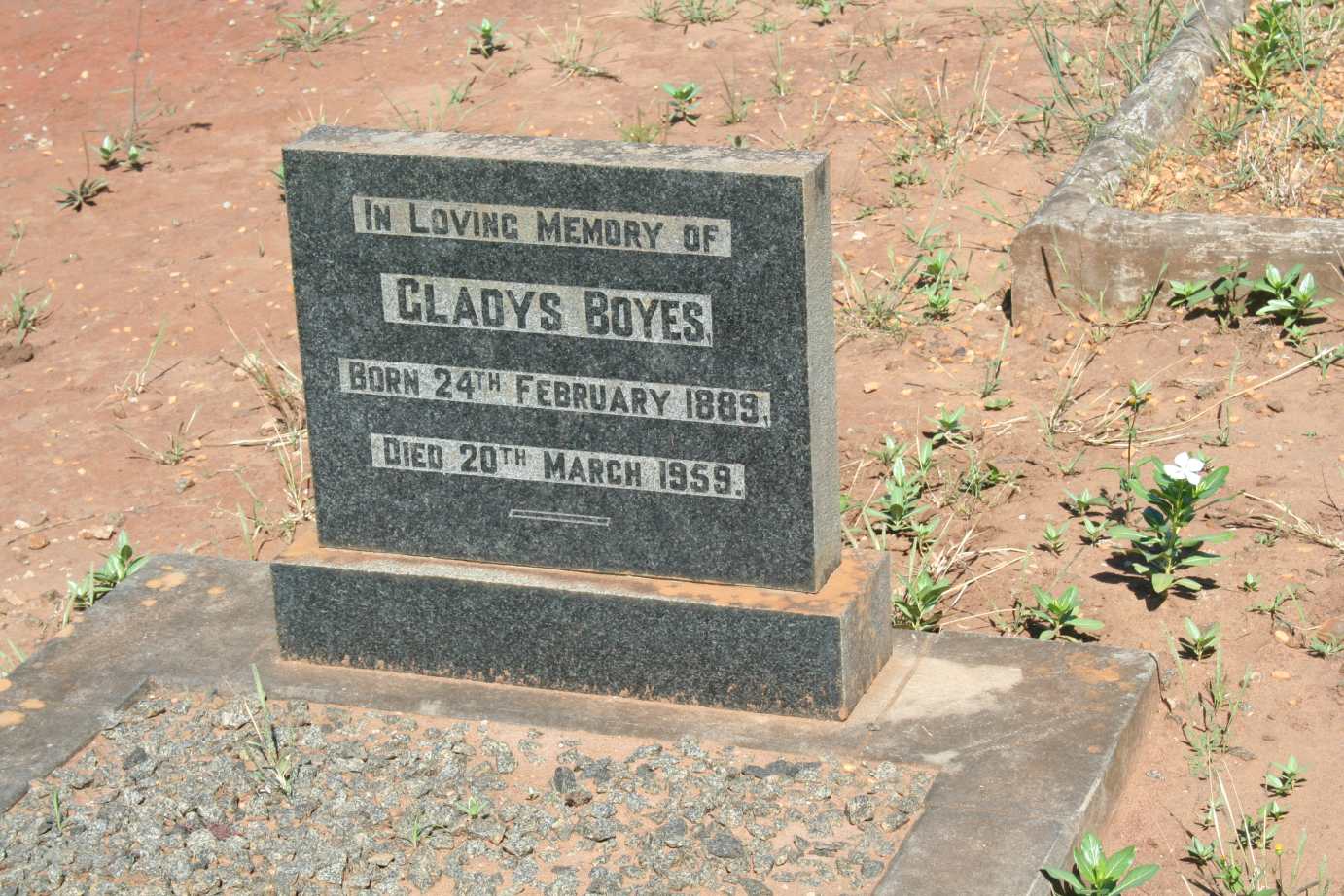 BOYES Gladys 1889-1959