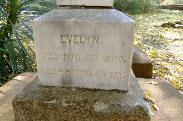 ? Evelyn -1888