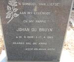 BRUYN Johan, du 1909-1969