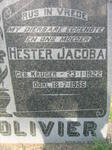 OLIVIER Hester Jacoba nee KRUGER 1922-1956