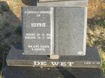 WET Hennie, de 1943-2008