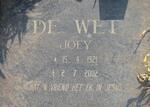 WET Joey, de 1921-2002