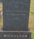 NICHOLSON James B.S. 1888-1945