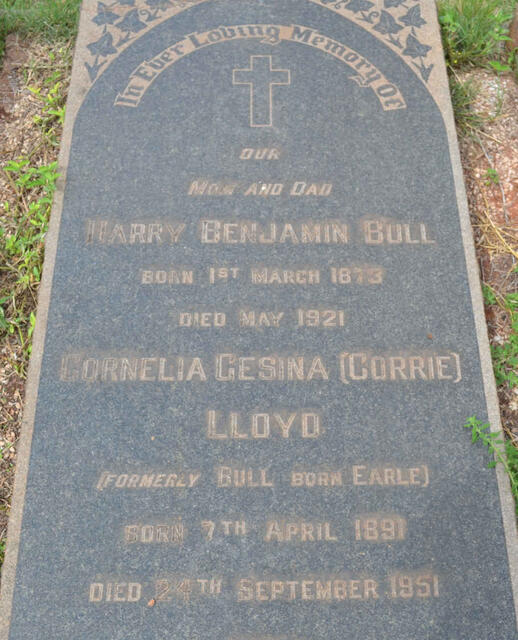 BULL Harry Benjamin 1873-1921 & LLOYD Cornelia Gesina formerly BULL nee EARLE 1891-1951