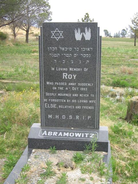 ABRAMOWITZ Roy -1993