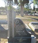 HEERDEN Callie, van 1924-1978