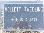 MOLLETT Twins 1977-1977