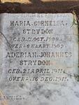 STRYDOM Maria Cornelia 1908-1909 :: STRYDOM Aderian Johannes 1911-1911