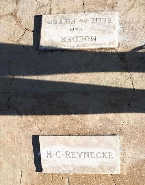 REYNECKE M.C.