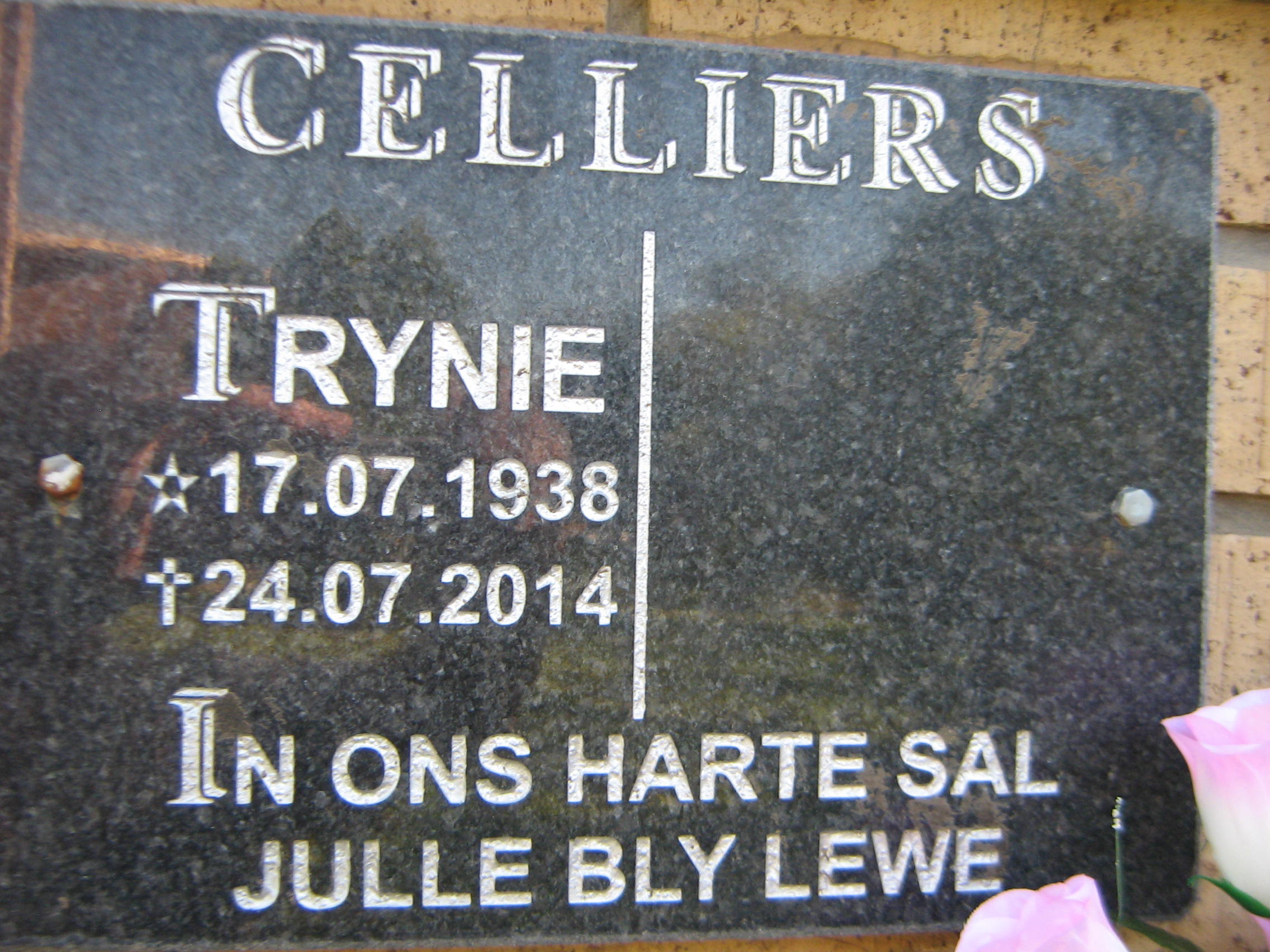 CELLIERS Trynie 1938-2014