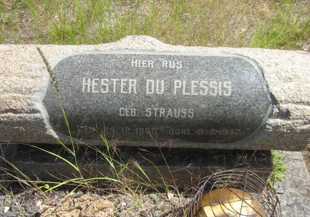 PLESSIS Michiel Horn, du 1895-1972 & Hester STRAUSS 1900-1947