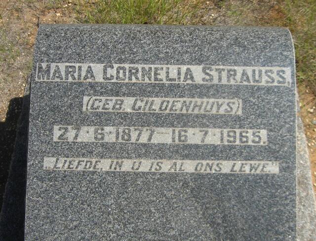 STRAUSS Maria Cornelia nee GILDENHUYS 1877-1965