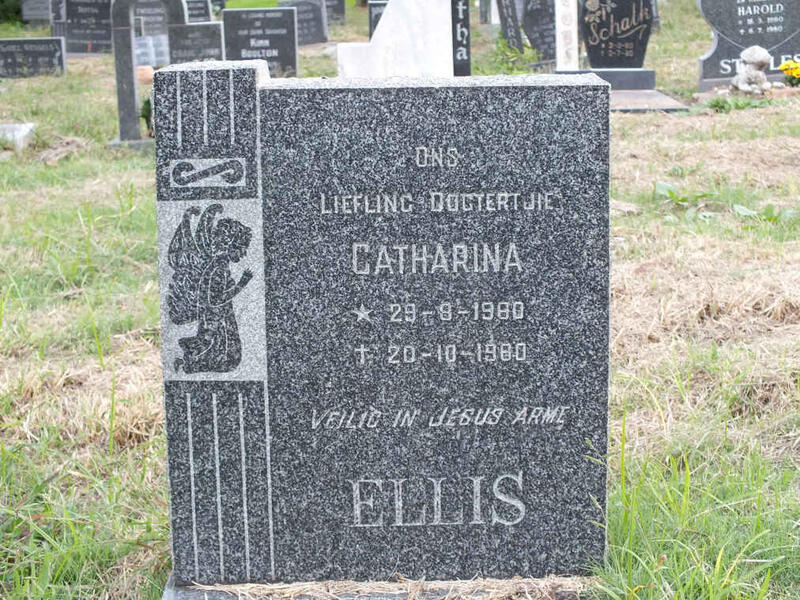 ELLIS Catharina 1980-1980