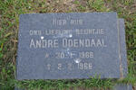ODENDAAL André 1966-1966