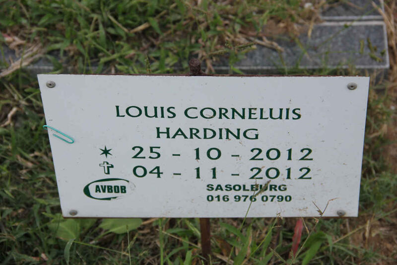 HARDING Louis Corneluis 2012-2012