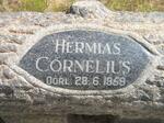 STRAUSS Hermias Cornelius -1959 & Elizabeth Jacoba -1975 