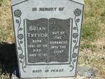 TREVOR Brian 1961-1985