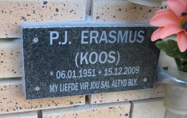 ERASMUS P.J. 1951-2009