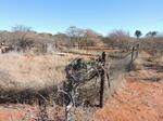 Limpopo, MOKOPANE district, Alldays, Schaapplaats 42, farm cemetery