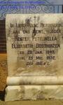 Free State, BULTFONTEIN district, Uitkyk 194, Goedverwacht, farm cemetery