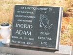 ADAM Ingram 1980-2008