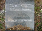 SCOTT David 1923-1955