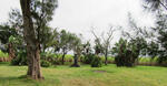 Kwazulu-Natal, MTUNZINI district, Gingindlovu, British Military Memorial, Fort Chelmsford
