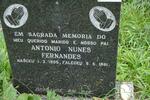 FERNANDES Antonio Nunes 1905-1981