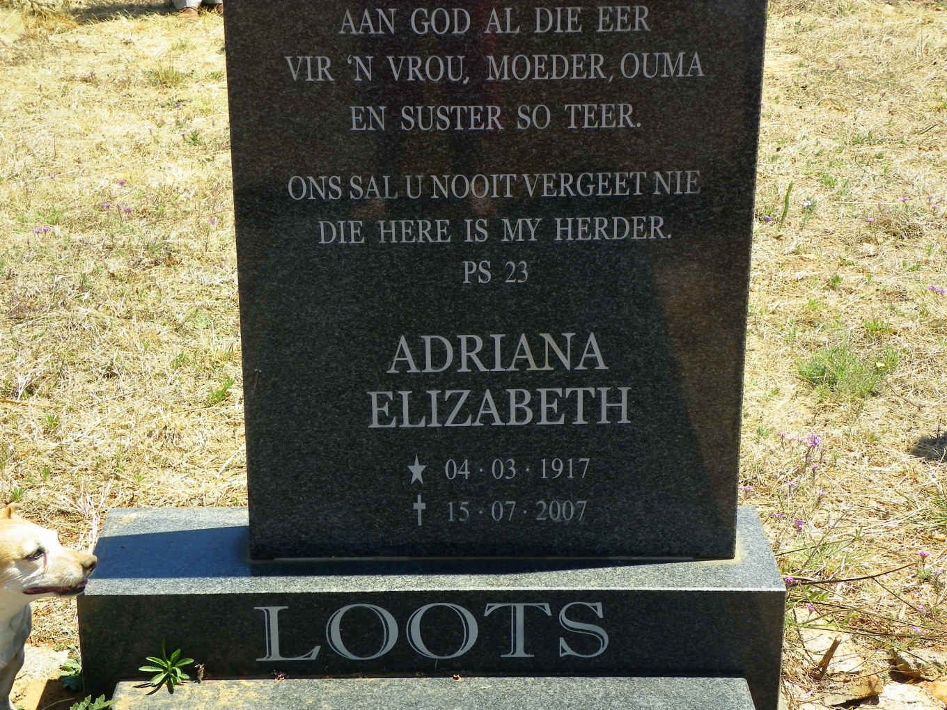 LOOTS Adriana Elizabeth 1917-2007
