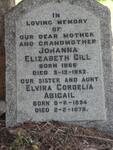 GILL Johanna Elizabeth 1866-1952 :: ? Elvira Cordelia Abigail 1894-1979